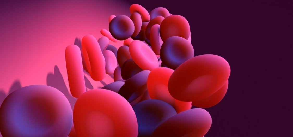 Come on, get yourself far from illnesses by animating blood flow in the body