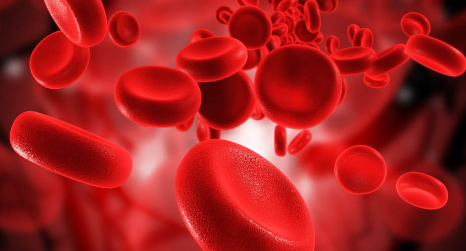 blood pool filter heart