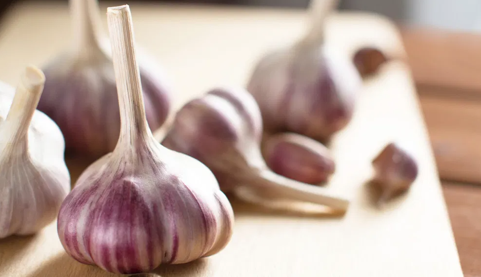Rundown of Garlic Advantages for Elevated Cholesterol