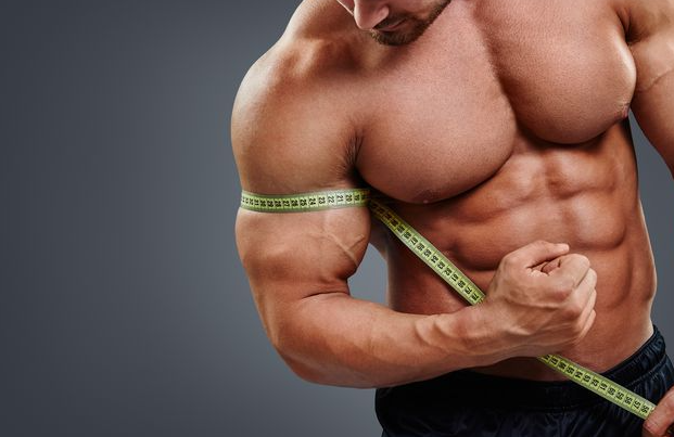 How to increase muscle mass for beginners