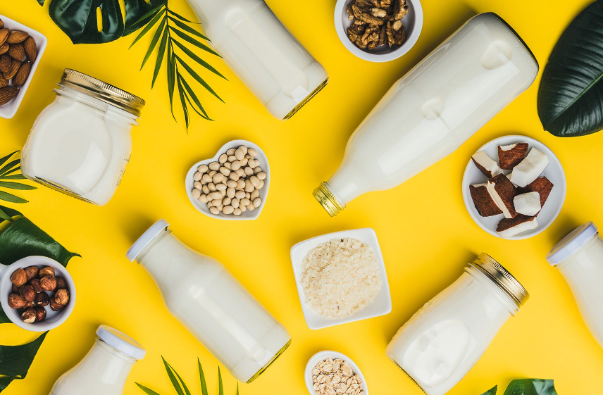 Milk for fitness and its types