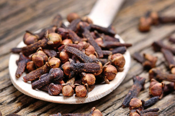 herbal plants: cloves