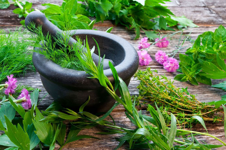 Eating herbal plants help your body’s immunity.