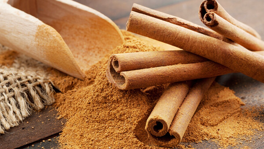 herbal plants: cinnamon